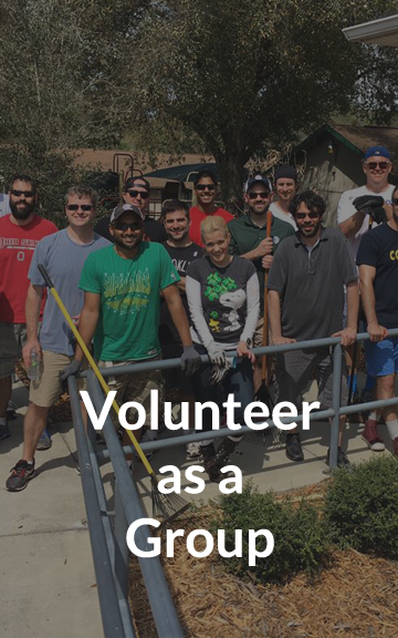 Volunteer as a Team Button