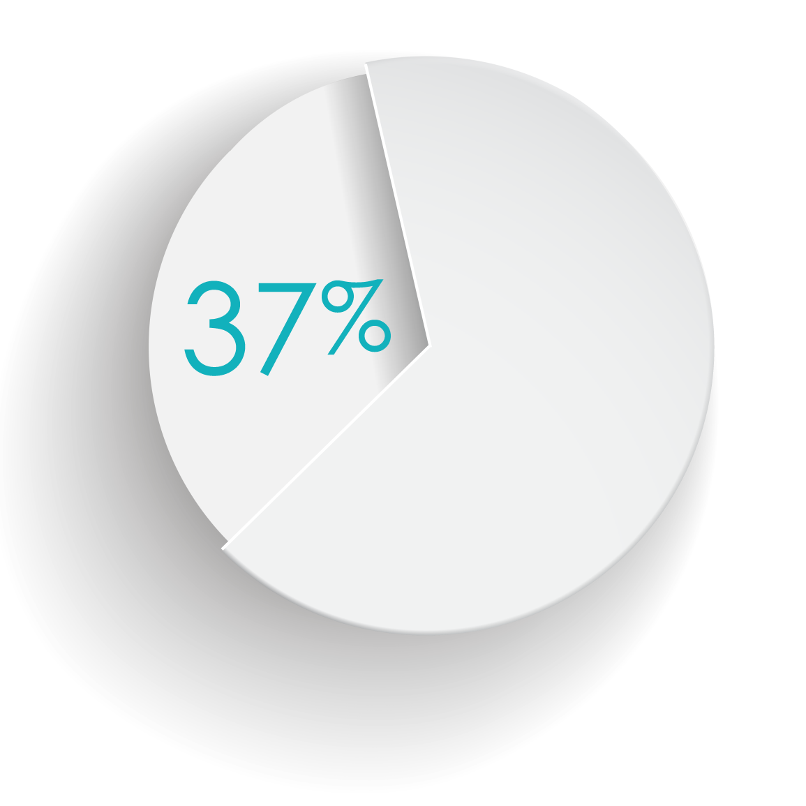 pie charts 3D (3)