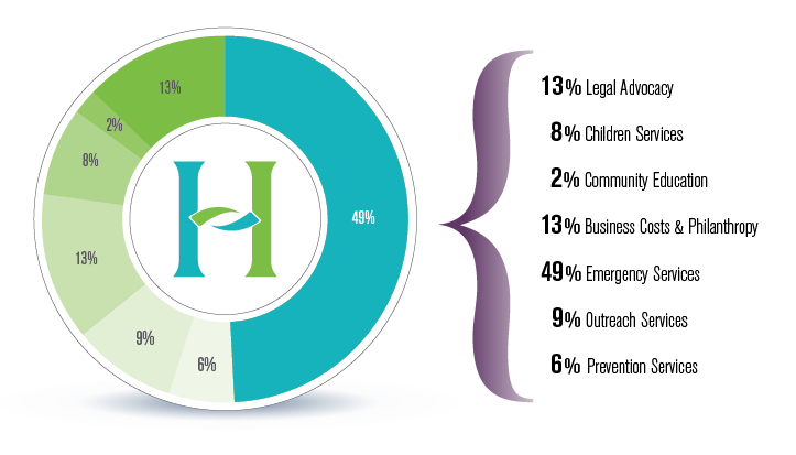 pie chart financials-01